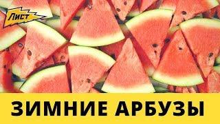 Зимние Арбузы! Как заготовить арбузы на зиму!