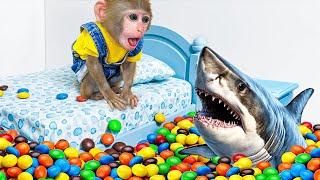 KiKi Monkey escape full of Mixing Rainbow M&M Candy Room & Shark Fishing Challenge |KUDO ANIMAL KIKI