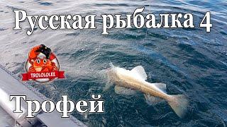 Русская рыбалка 4  Фарм Норвежское море  Трофей