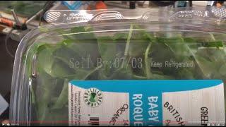 Meenjet MX1 Printer Date Coding Plastic Spinach Containers