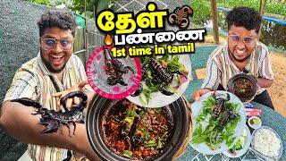 Eating Scorpion & Water Bugs from தேள் பண்ணை | Exotic Foods | Tamil Food Review