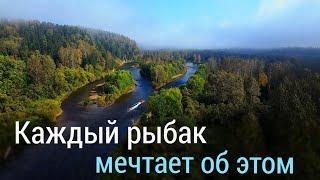 Горная рыбалка осенью - это счастье/Ленок, хариус, тайга и горы. Новая лодка Шерпика.