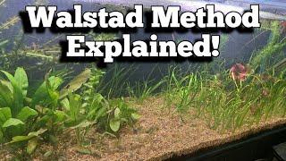 A Self-sustaining Aquarium? Discover the Walstad Method! #walstad #aquarium #fishkeeping