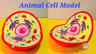 Animal Cell Model (3D) model making | How to make Animal Cell Model for Science Project