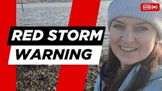 RED Storm Warning & Beached Whale: Life in Ireland This Week