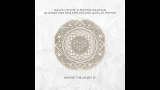 David Hohme & Dustin Nantais - Quarantine Dreams (Sound Quelle Remix)