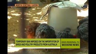 GMA Regional TV Weekend News: Animal Infection