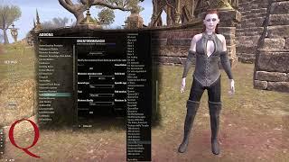 Qs ESO Guide // Inventory Management Overview // FCO Item Saver + Inventory Manager