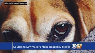 Bill Passes Making Bestiality Illegal In Louisiana