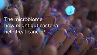 The microbiome: how might gut bacteria help treat cancer? | Cancer Research UK