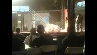 Adam Sisler (my son) MMA Fight - Fairfield, Iowa.