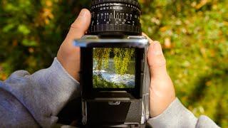 Fall Foliage on Hasselblad Ground Glass | Upstate NY