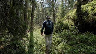 Hiking 25 km Alone in Tivedens National Park, Sweden