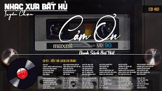 [CD451] Mở Nhẹ Nhàng Lk Nhạc Vàng Hải Ngoại Xưa Bất Hủ Còn Mãi Theo Thời Gian| Hữu Thái Lossless