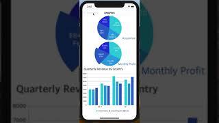 Admin Dashboard iOS App Template in Swift for iPhone and iPad