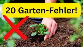 20 typical gardening mistakes & how to avoid them