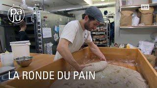 Ils fabriquent des pains au levain naturel avec des farines locales, moulues sur meule de pierre