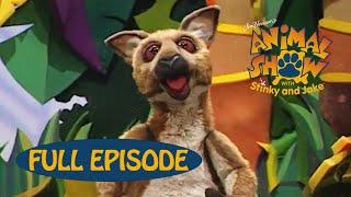 Animal Show | Kangaroo  / Frog  | Jim Henson Family Hub