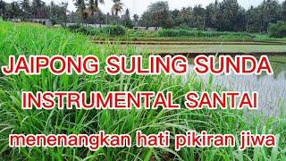 JAIPONG SULING SUNDA // JAIPONGAN