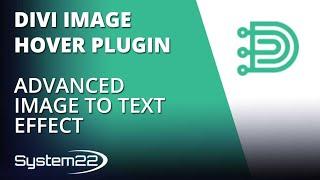 Divi Image Hover Plugin Advanced Image To Text Effect 