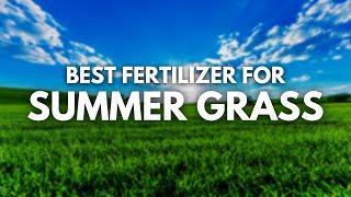 Best Fertilizer For Grass In Summer - Kick Off the Heat