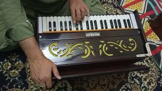 Maira Dil ye pukaray a ja..Roohdari on Harmonium