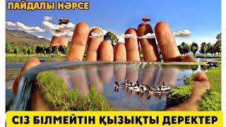 Сіз білмейтін қызықтар #қызық #дерек