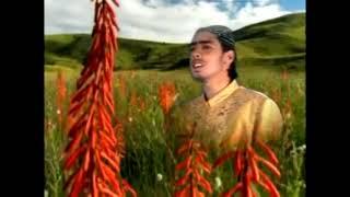 Waseem Madni - Allah Hoo Allah Hoo - Heart Touching Kalam - Lyrical Video - Waseem Madni Official