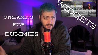 STREAMING FOR DUMMIES: (Episode 3) HOW SET UP TWITCH WIDGETS IN UNDER 10 MINUTES!!