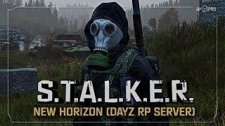 S.T.A.L.K.E.R.: New Horizon (DayZ RP)  2x20 - Мишгана заказали?