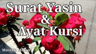 SURAT YASIN & AYAT KURSI || Chap.1~~ (Dilengkapi dengan, tulisan arab & terjemahan)~~ Mustafa Mutair