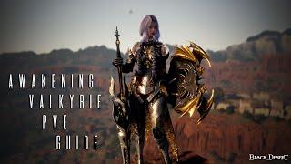 UNLEASH THE VALKYRIE: Awakening PVE Guide (Quick NO BS)