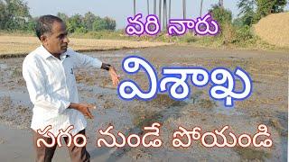 వరి నారు విశాఖ సగం నుండే పోయండి|paddy naarumadi yaajamanyam| by karshaka nestham