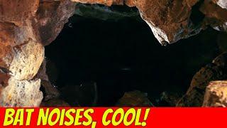 Natural Cave Sounds, ASMR Cave Sounds, Cavern Sounds. Bats! 1 Hour!