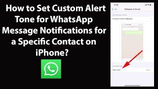 How to Set Custom Alert Tone for WhatsApp Message Notifications for a Specific Contact on iPhone?