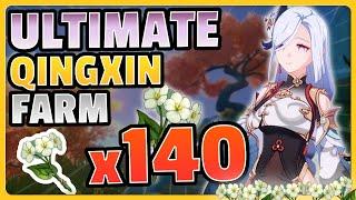 COMPLETE QINGXIN FARM!  EFFICIENT & FAST ROUTE  ! | Genshin Impact