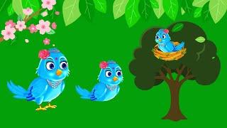 Free No Copyright /Tuni Chidiya/Green Screen Cartoon Bird/Cartoon Bird Green Screen/Taking Bird/Bird