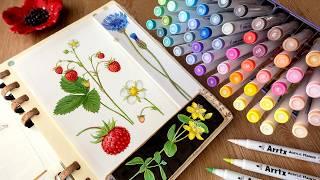 Making Botanical Illustrations with Acrylic Markers 