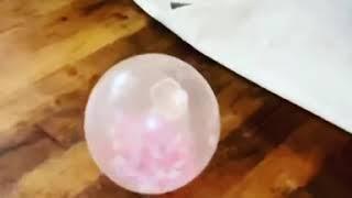 Cat vs confetti balloon