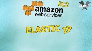 How to Assign Static IP Addresses to EC2 Instances