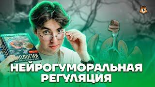 Нейрогуморальная регуляция | Биология ОГЭ 2023 | Умскул