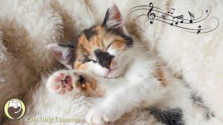 Music to Calm Cats - Relaxing Music with Cat Purring Sounds