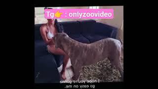 full video telegram@onlyzoovideo #dog #doglover #doglovers #dogshorts #dogs  #tattoogirl #artofzoo