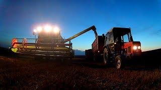 Žně/Harvest/pšenice 2017 - Farma Trnka/Claas Tucano 440,Zetor7211,8011,Fiat-agri