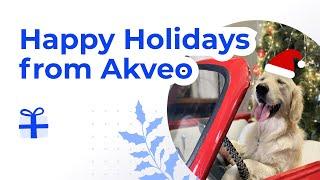 Season Greetings From Akveo