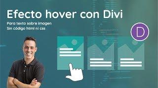 Efecto Hover con Divi