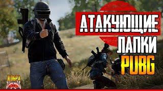 АТАКУЮЩИЕ ПАБЛИКИ ЛАПКИ ТПП - ФПП PUBG | ПАБГ стрим без мата 4к