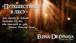 "Путешествие в лесу"  (meditation music) Elena Drevnaya