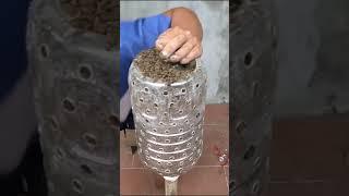 Beautiful Garden Ideas, How To Make A Beautiful Orb Vertical Garden From Plastic Bottles And Balls