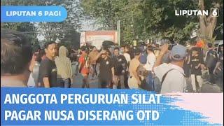 Balik dari Acara Halal Bihalal, Rombongan Silat Pagar Nusa Diserang Orang Tak Dikenal | Liputan 6